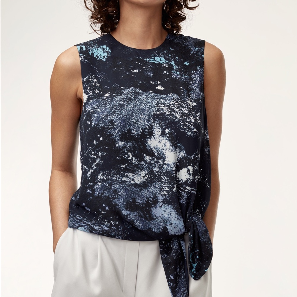 Aritzia Babaton Hopkins Blouse